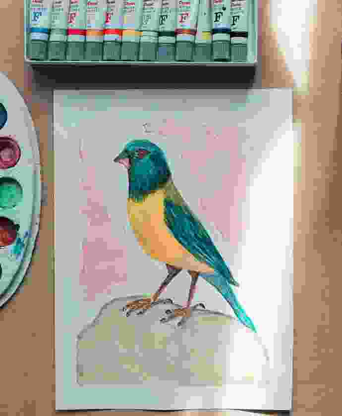 Shop Secondary Image Shop Secondary Image